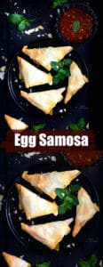 Egg Samosa Video Nish Kitchen