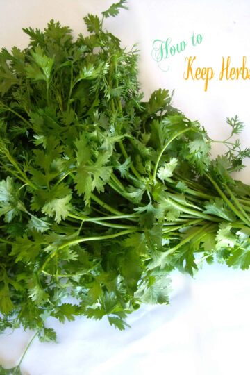 How to keep herbs fresher for longer