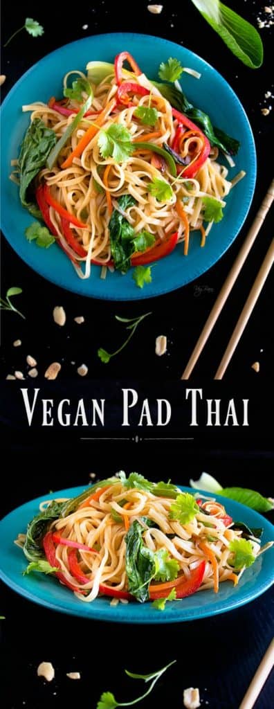 Vegan Pad Thai - NISH KITCHEN