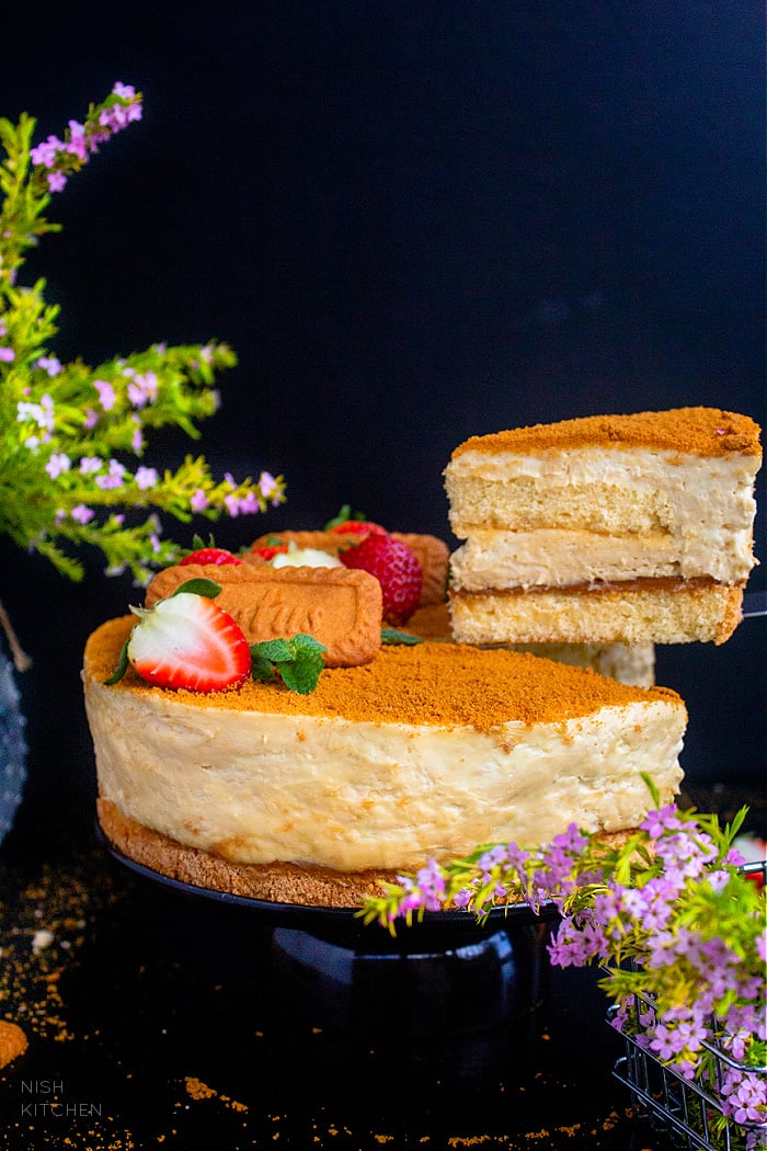 Lotus Biscoff Cheesecake Cake Recipe Video