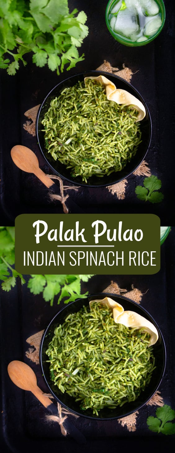 Palak paneer or Indian spinach rice 